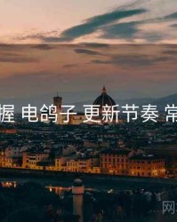 快速掌握 电鸽子 更新节奏 常见误区