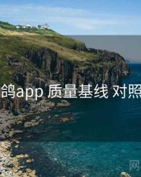 电鸽app 质量基线 对照表