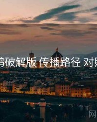 电鸽破解版 传播路径 对照表