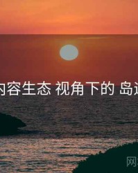 内容生态 视角下的 岛遇