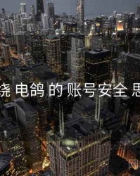 围绕 电鸽 的 账号安全 思路
