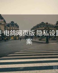 重点提要 电鸽网页版 隐私设置 提效方案