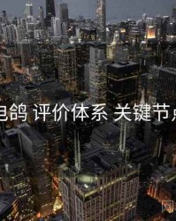 电鸽 评价体系 关键节点