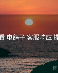 避坑必看 电鸽子 客服响应 提效方案
