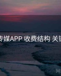 花季传媒APP 收费结构 关键节点