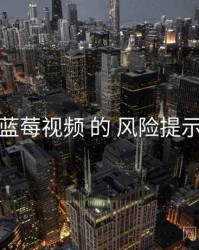 关于 蓝莓视频 的 风险提示 研究
