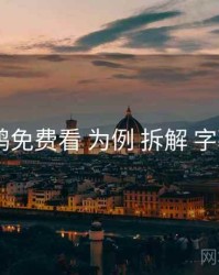 以 电鸽免费看 为例 拆解 字幕方案