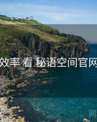 从 搜索效率 看 秘语空间官网 的优势