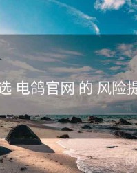 精选 电鸽官网 的 风险提示