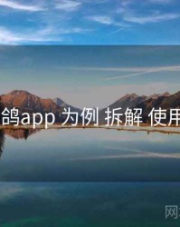 以 电鸽app 为例 拆解 使用门槛