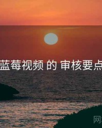 围绕 蓝莓视频 的 审核要点 思路