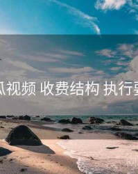 木瓜视频 收费结构 执行要点