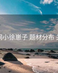 秘语空间小徐崽子 题材分布 关键节点