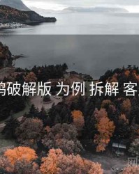 以 电鸽破解版 为例 拆解 客服响应