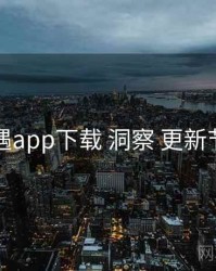 岛遇app下载 洞察 更新节奏