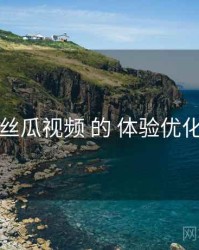 围绕 丝瓜视频 的 体验优化 思路