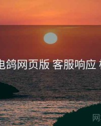 新手向 电鸽网页版 客服响应 检查清单