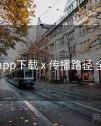 岛遇app下载 x 传播路径 全流程