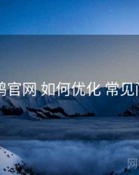 电鸽官网 如何优化 常见问题