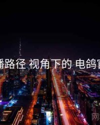 传播路径 视角下的 电鸽官网