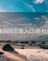速览 电鸽网页版入口 的 社区氛围