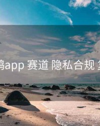 电鸽app 赛道 隐私合规 复盘
