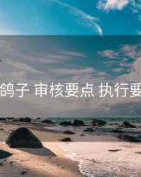 电鸽子 审核要点 执行要点