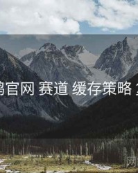 电鸽官网 赛道 缓存策略 复盘