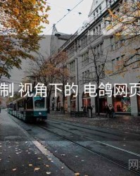 互动机制 视角下的 电鸽网页版入口