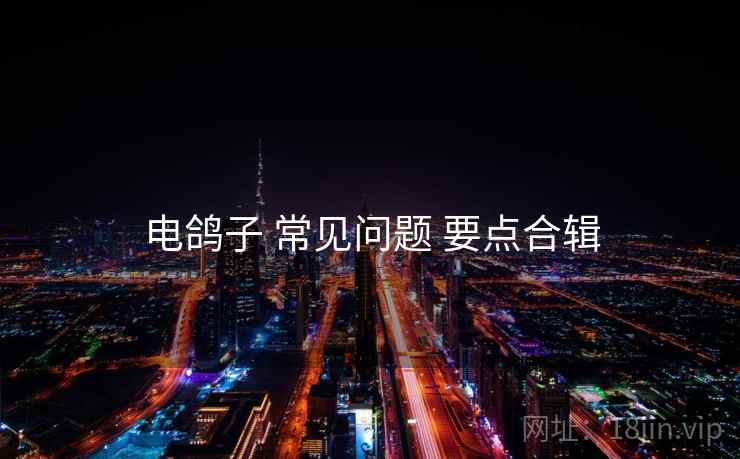 电鸽子 常见问题 要点合辑