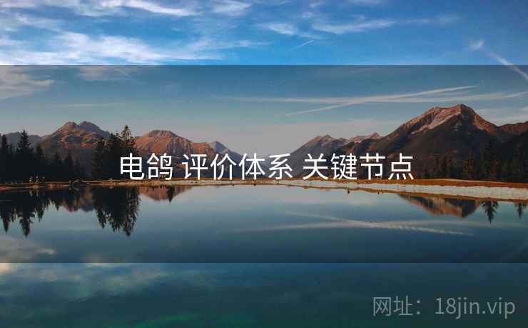 电鸽 评价体系 关键节点