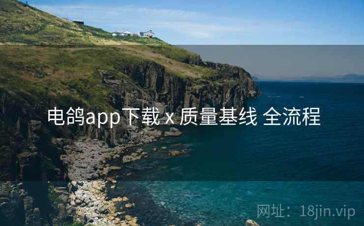 电鸽app下载 x 质量基线 全流程