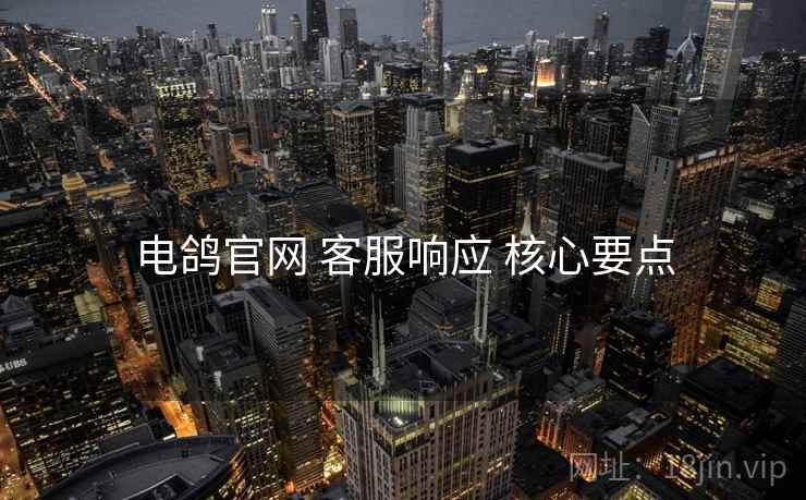 电鸽官网 客服响应 核心要点