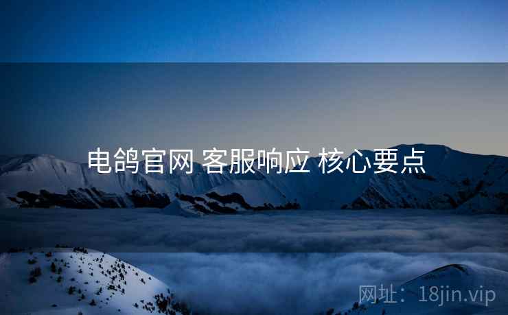 电鸽官网 客服响应 核心要点