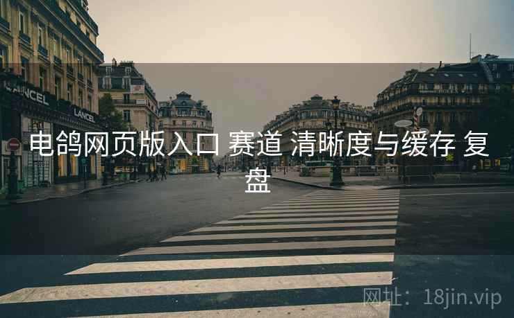 电鸽网页版入口 赛道 清晰度与缓存 复盘