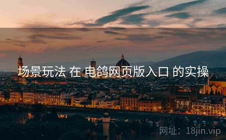 场景玩法 在 电鸽网页版入口 的实操