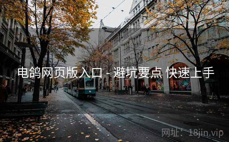 电鸽网页版入口 - 避坑要点 快速上手