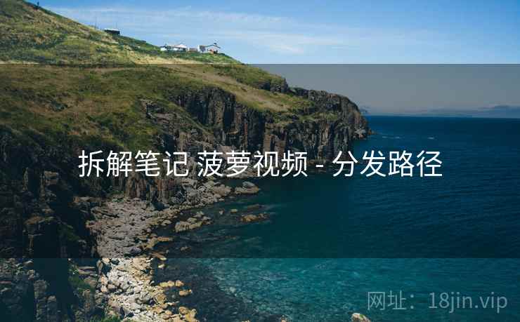 拆解笔记 菠萝视频 - 分发路径