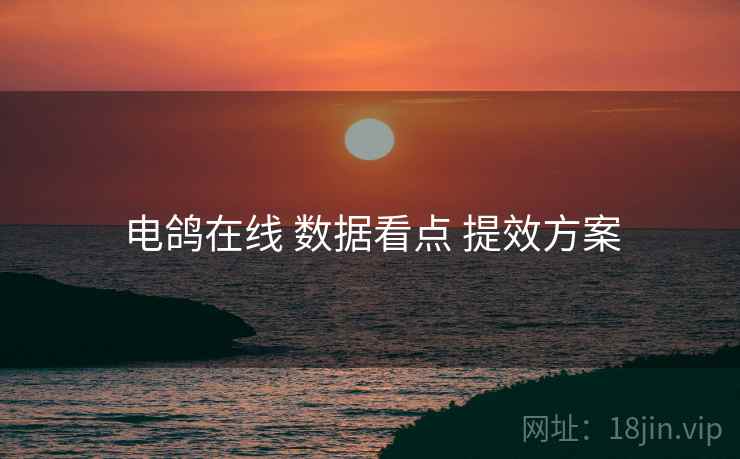 电鸽在线 数据看点 提效方案