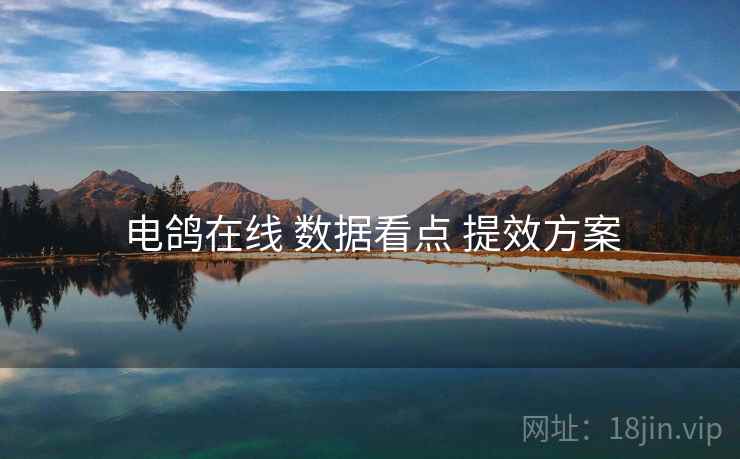 电鸽在线 数据看点 提效方案