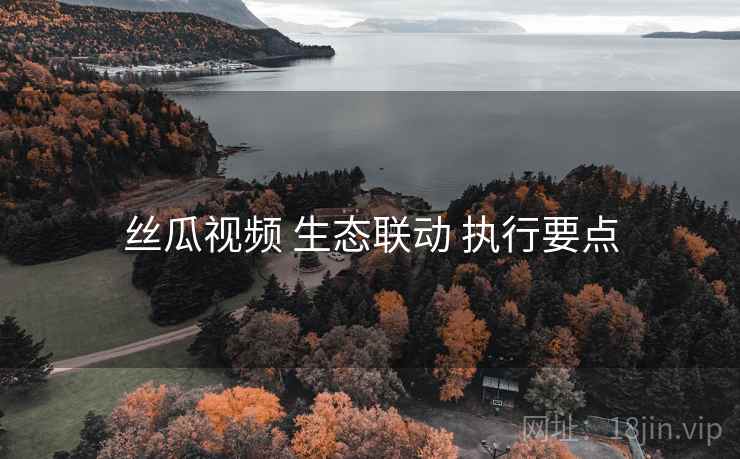 丝瓜视频 生态联动 执行要点