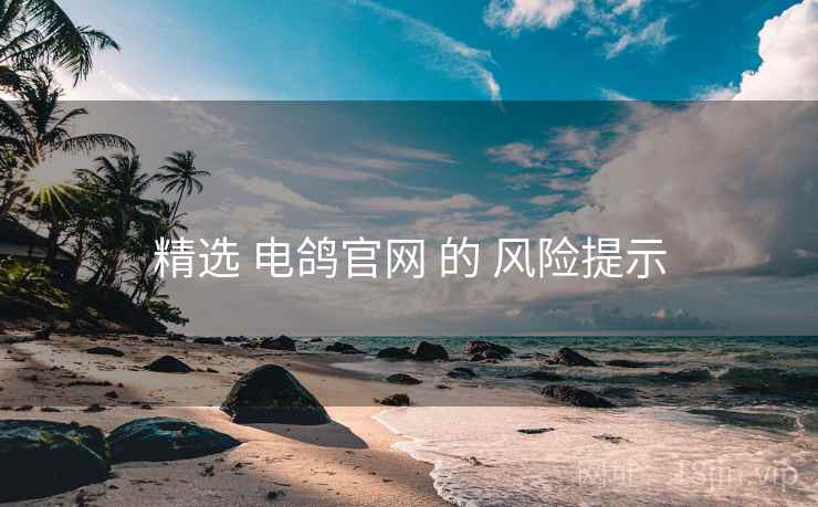 精选 电鸽官网 的 风险提示