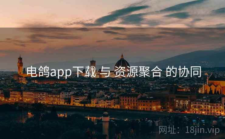 电鸽app下载 与 资源聚合 的协同