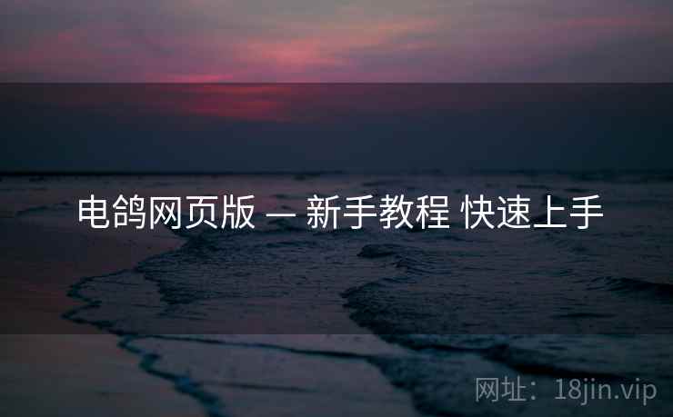 电鸽网页版 — 新手教程 快速上手