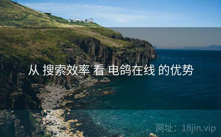从 搜索效率 看 电鸽在线 的优势