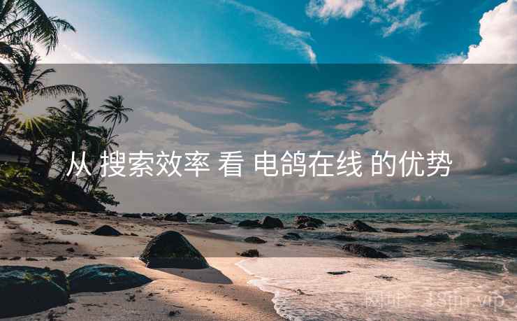 从 搜索效率 看 电鸽在线 的优势