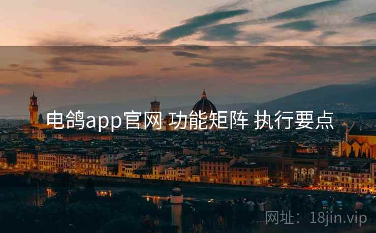 电鸽app官网 功能矩阵 执行要点