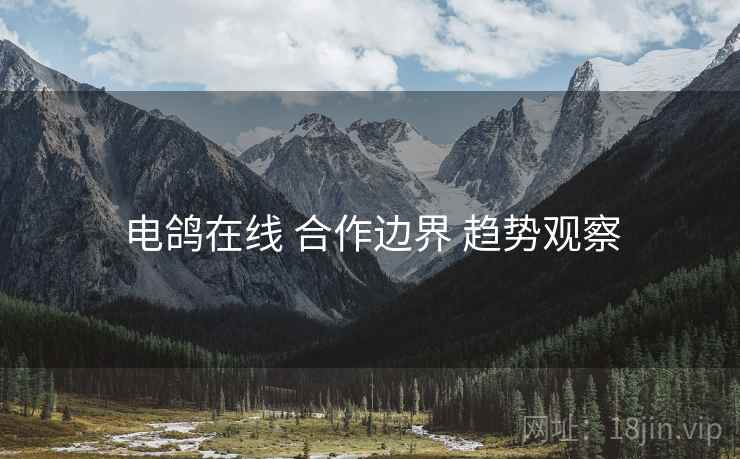 电鸽在线 合作边界 趋势观察