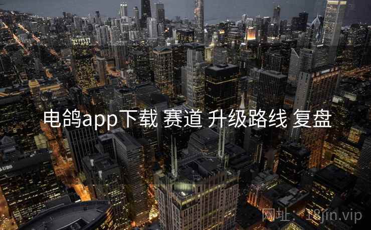 电鸽app下载 赛道 升级路线 复盘