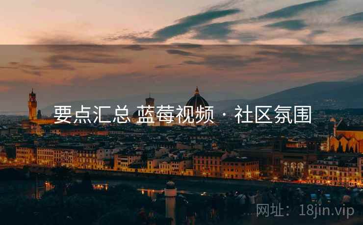 要点汇总 蓝莓视频 · 社区氛围